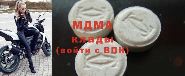 индика Горняк