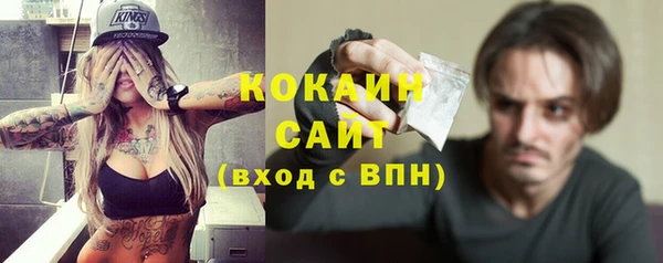 индика Горняк