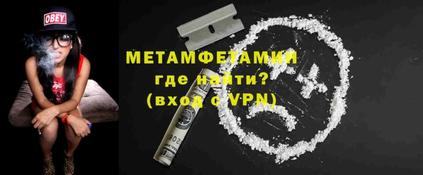 индика Горняк