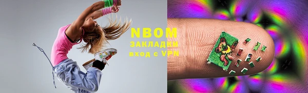 индика Горняк