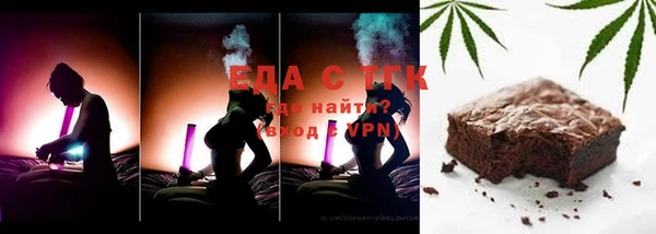 индика Горняк