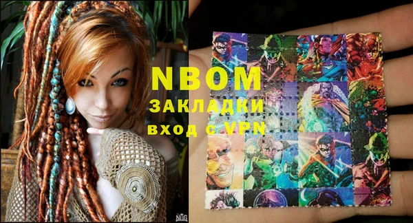 индика Горняк