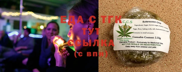 индика Горняк