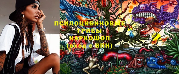 синтетический гашиш Горнозаводск