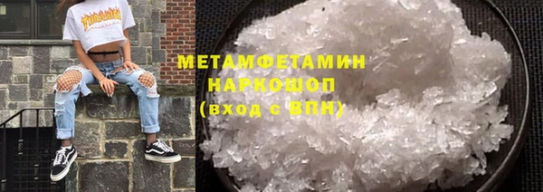 индика Горняк