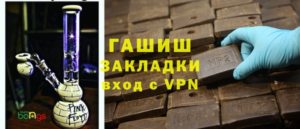 индика Горняк