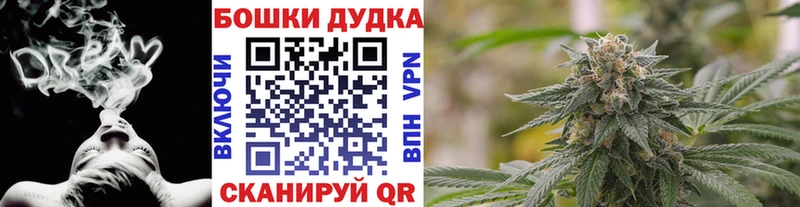 Купить где  Ковылкино  МАРИХУАНА планчик 